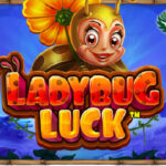 Ladybug Luck Pragmatic