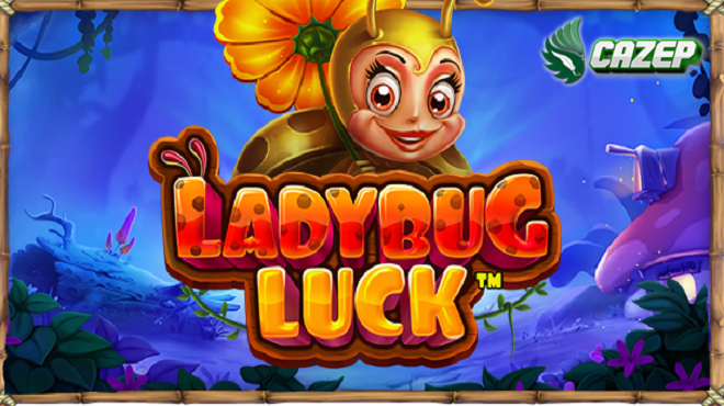 Ladybug Luck Pragmatic