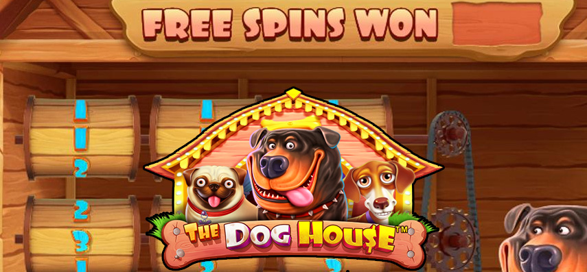 Dog House Games Simulasi Penampungan Hewan