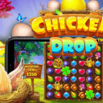 Chicken Drop Petualangan Seru Di Dunia Peternakan