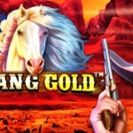 Mustang Gold Perjudian yang Menggembirakan