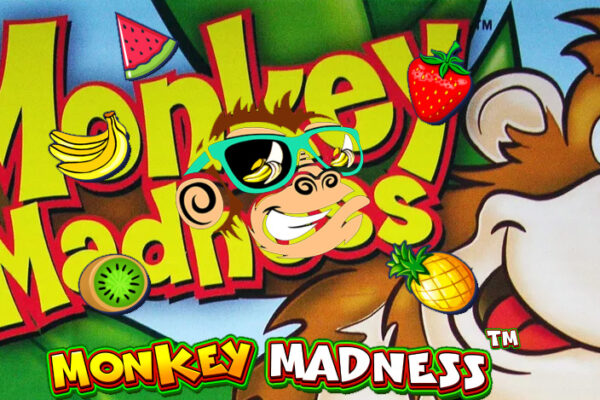 Monkey Madness Game Seru yang Menguji Ketangkasan