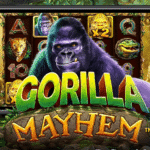 Mainkan Gorilla Mayhem Slot di Situs Terpercaya DOLLARTOTO