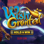 Wins Granted