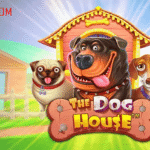 The Dog House